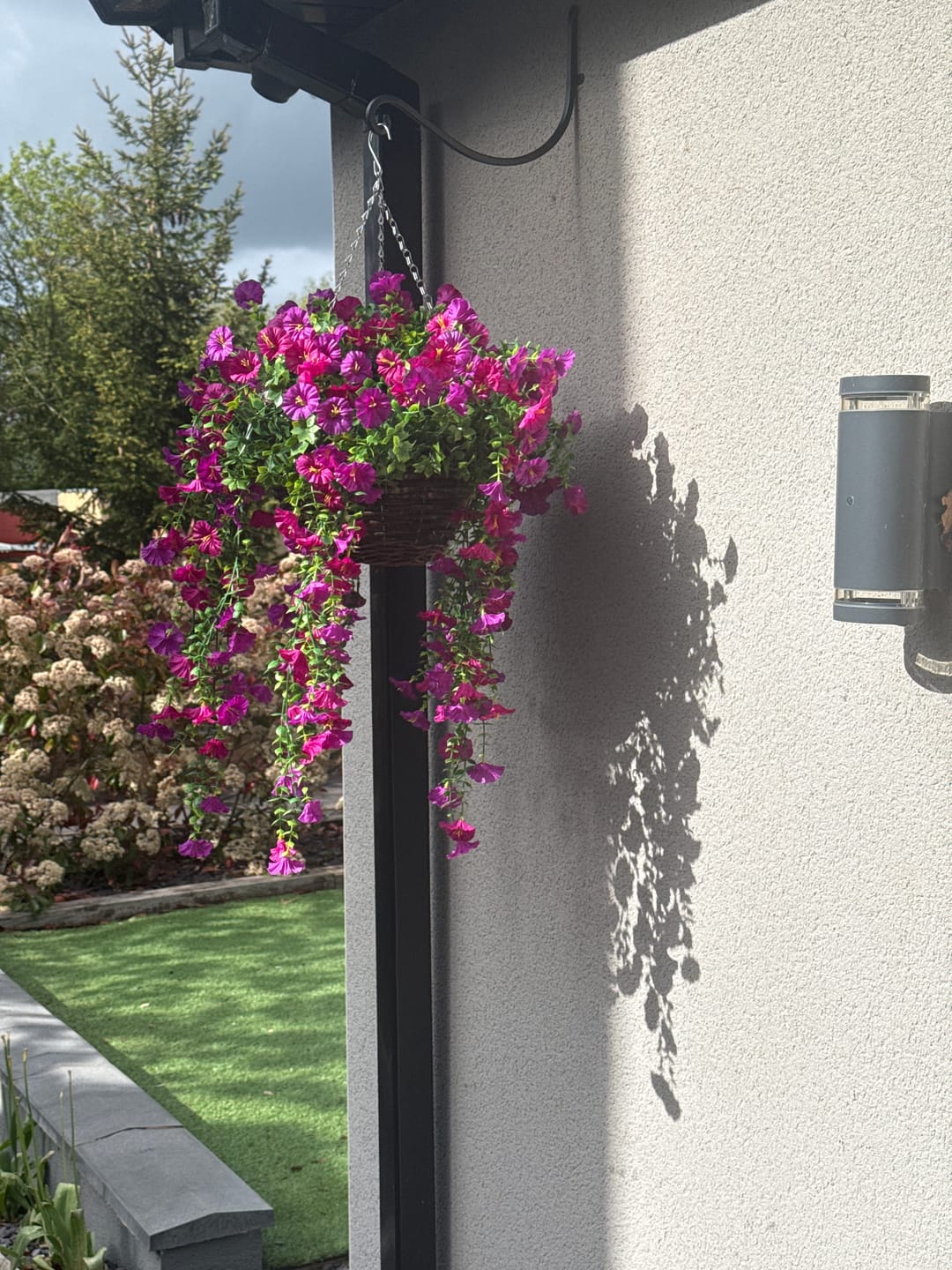 Customer photo review of Outdoor Hanging Petunia Basket - Purple