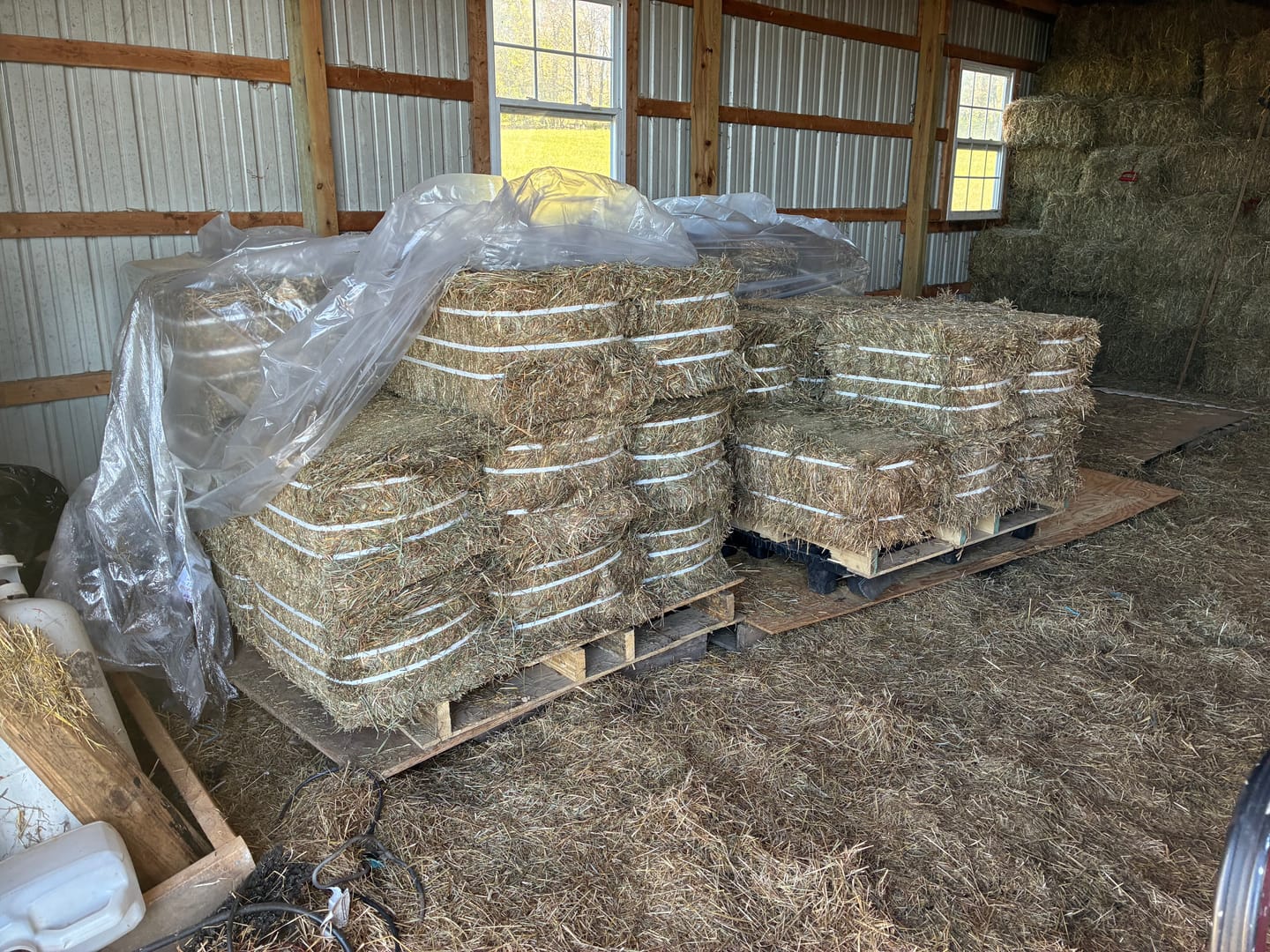 Customer photo review of Timothy Orchard Grass Hay (Click here for Qty Discount) Grass Hay (Buy More - Save More)(Includes delivery too!)