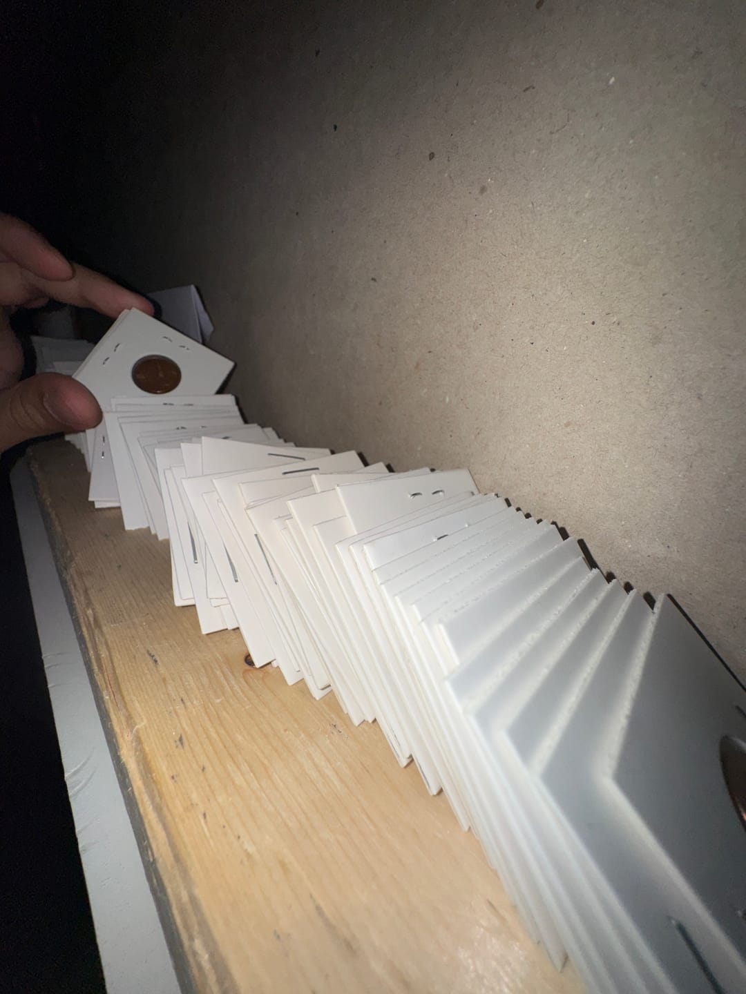 Customer photo review of Huge Mixed Bulk Lot of 100 Assorted World Currency | Foreign Coins | Mostly 20th Century