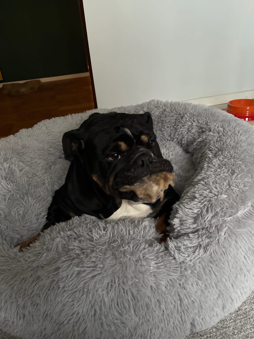 Customer photo review of CalmBed överdrag