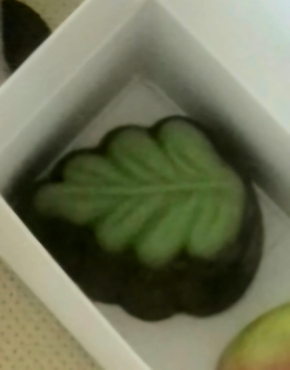 Customer photo review of Kiwi Fruit