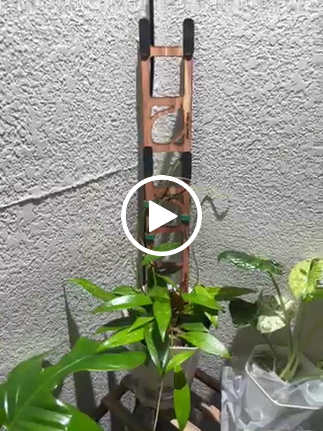 Customer video review of Stella - Modular ladder support