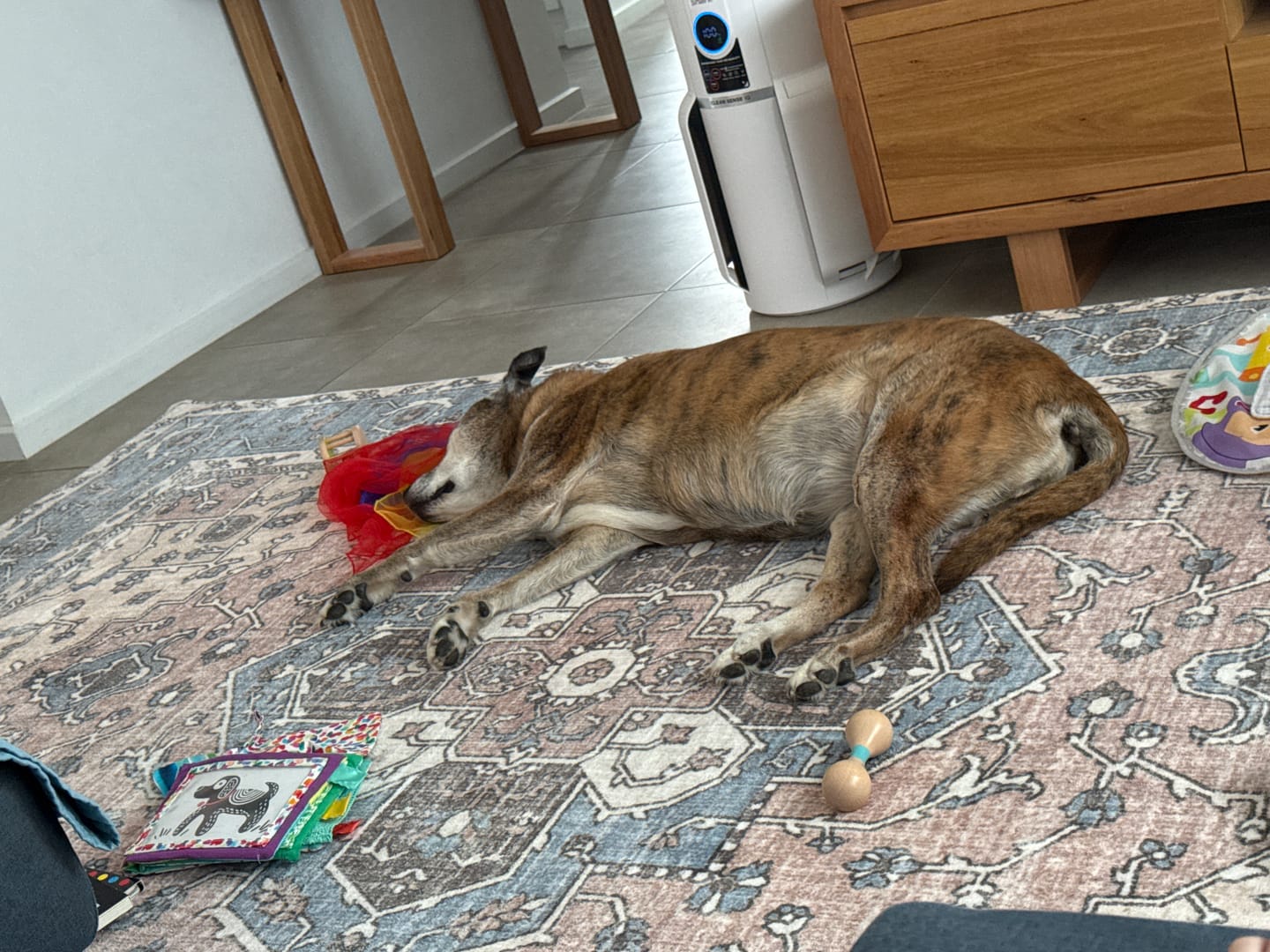 Customer photo review of Designer Relax Mat - 35mm Thick Foam Base