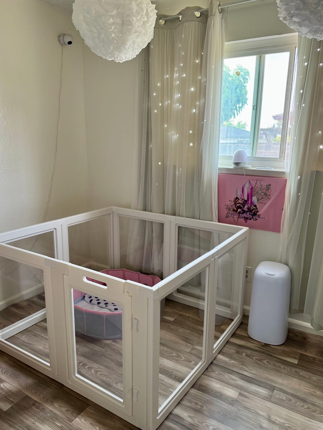 Customer photo review of AuraSpace Acrylic Indoor Dog Playpen for Small to Medium Dogs
