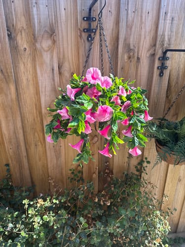 Customer photo review of Artificial Petunia Hanging Basket UV Resistant 28cm