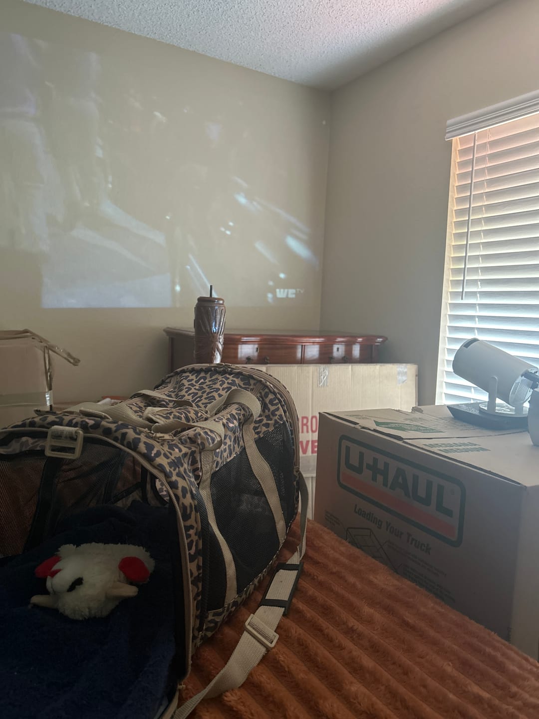 Customer photo review of CineMaster Pro® - 4K Smart Projector