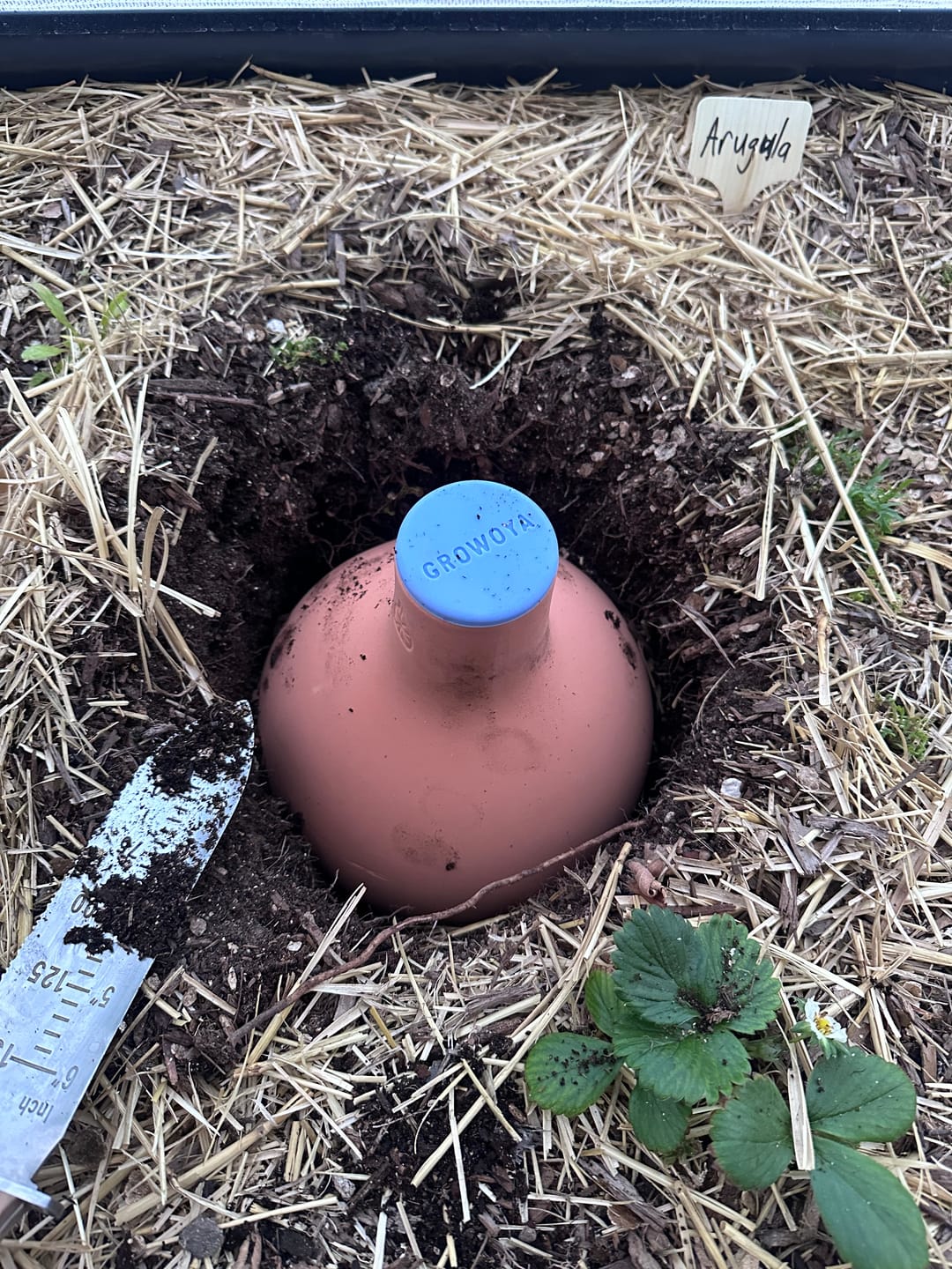 Customer photo review of Oya™ Watering Pot