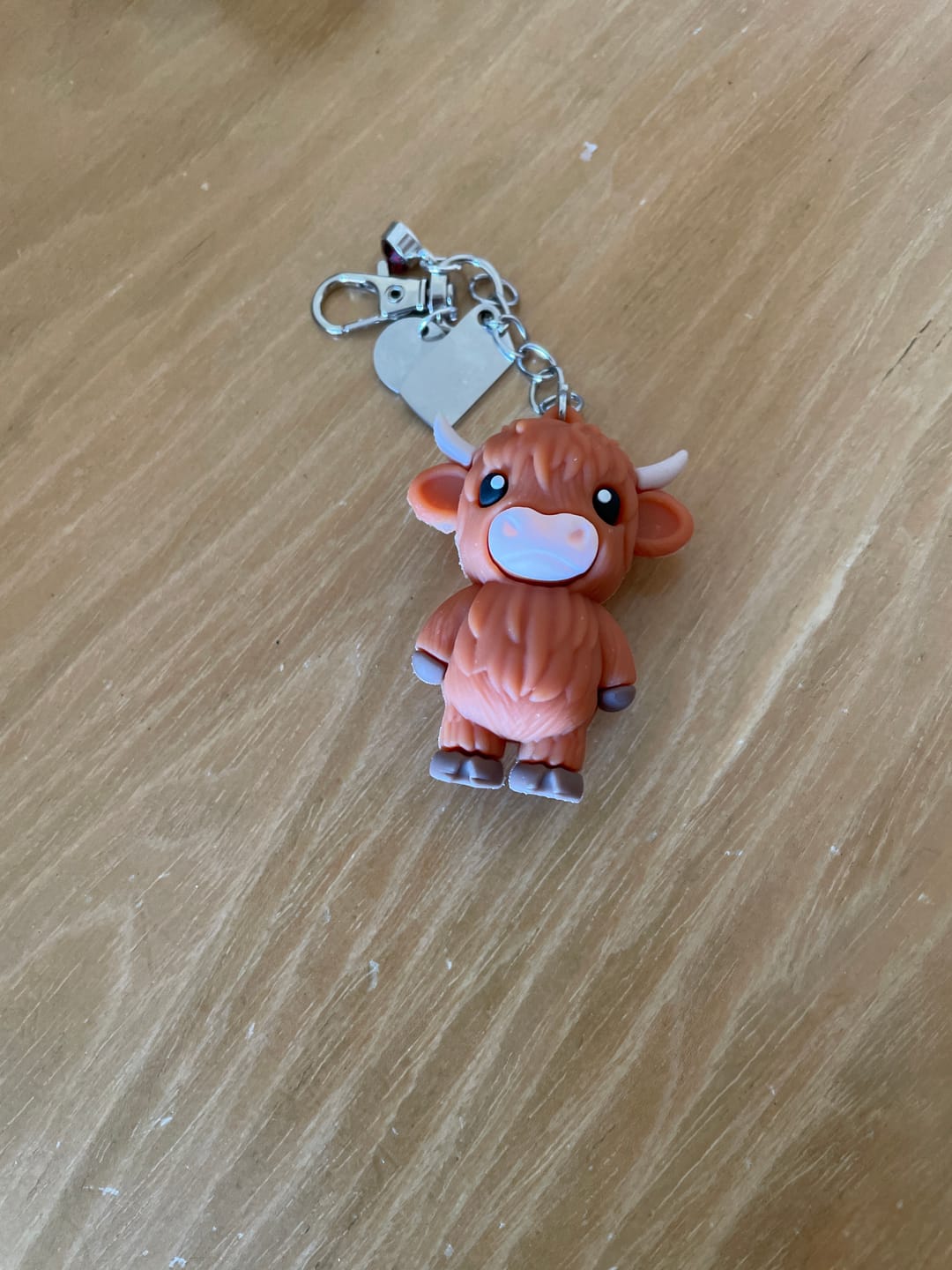 Customer photo review of 🐮A Little Highland Cow For You Keychain: Your Daily Reminder of Quiet Strength