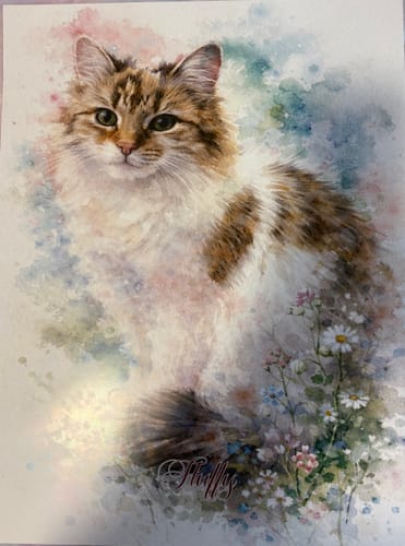 Customer photo review of Personalised Poster With Dog or Cat - Watercolour
