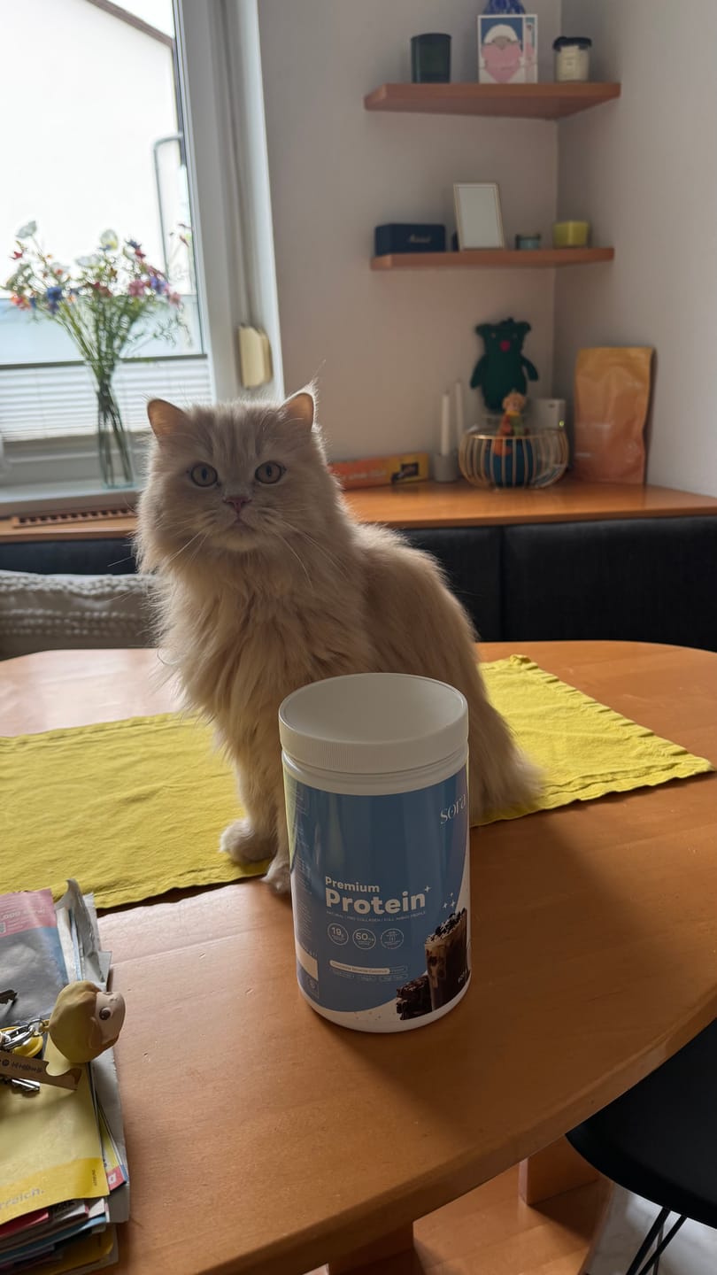 Customer photo review of Premium Protein - (mit Pro Collagen Komplex)