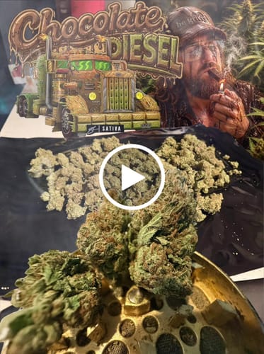 Chocolate Diesel - Bulk - Sativa photo review