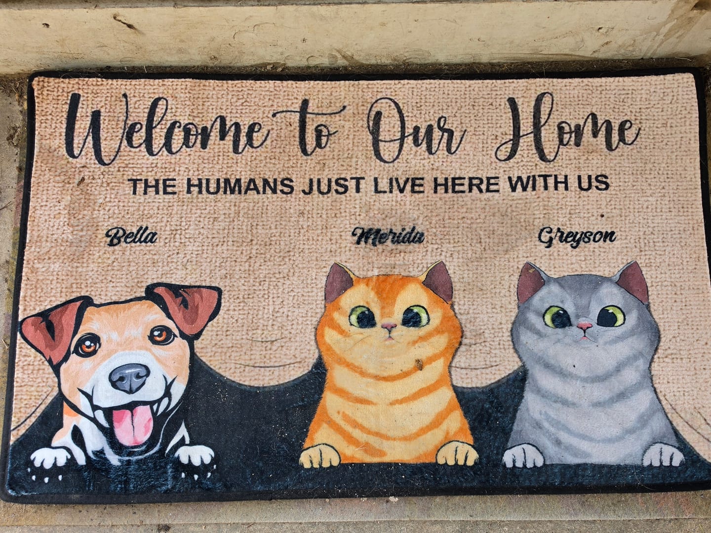 Customer photo review of Welcome To The Pet Home - Funny Personalized Pet Decorative Mat (Cat & Dog)