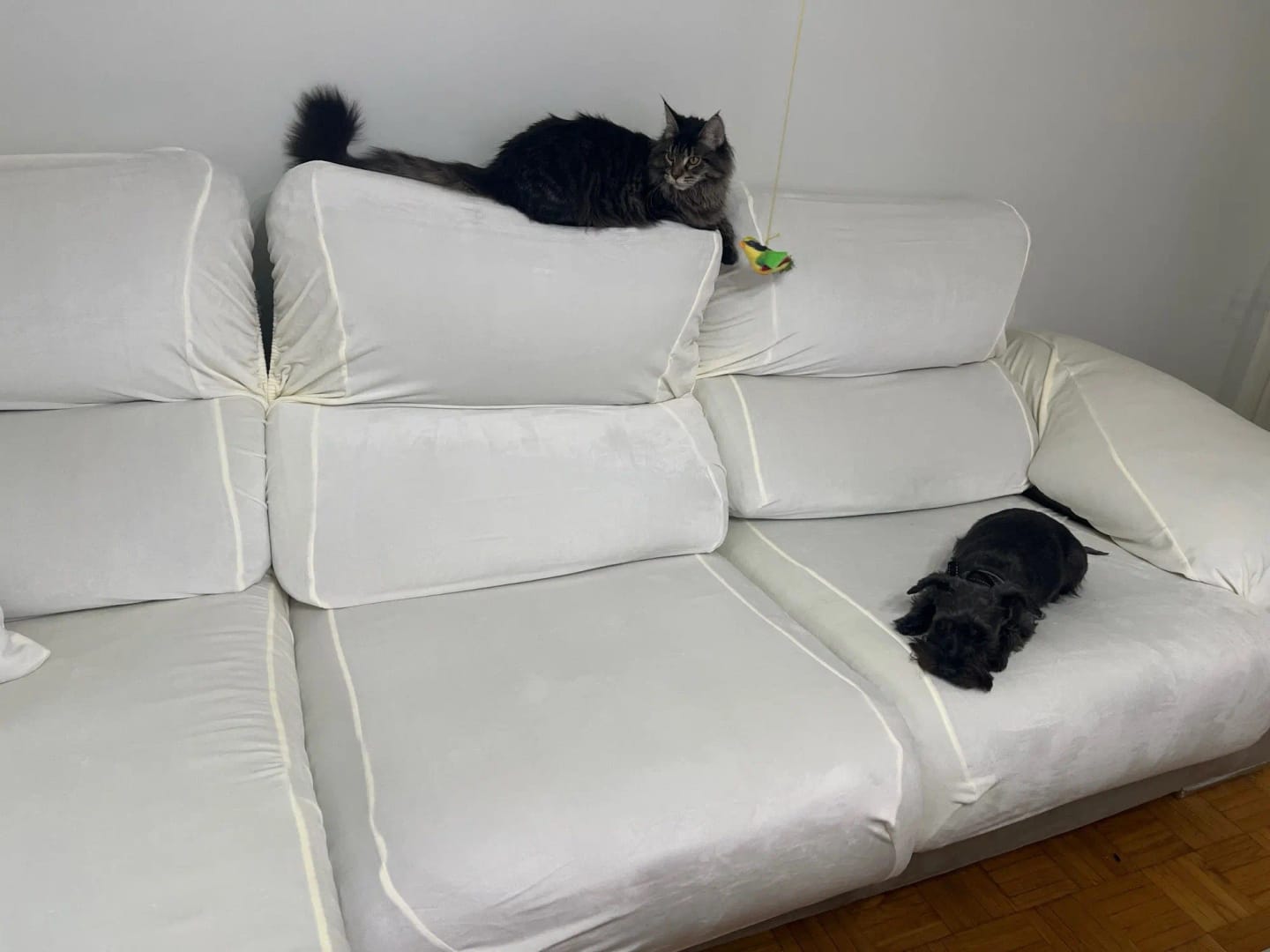 Customer photo review of Housse de Coussin Extérieur Extensible - Velours Assise & Dossier