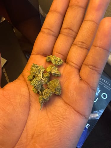 Do Si Dos x Lava Cake Minis - Bulk Minis - Indica photo review
