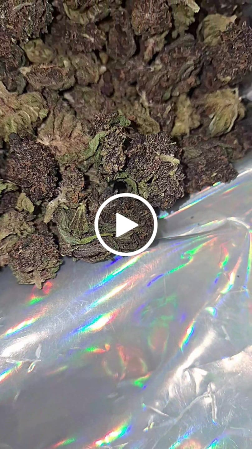 Customer video review of Purple Jack - 28 Grams Littles - Hybrid
