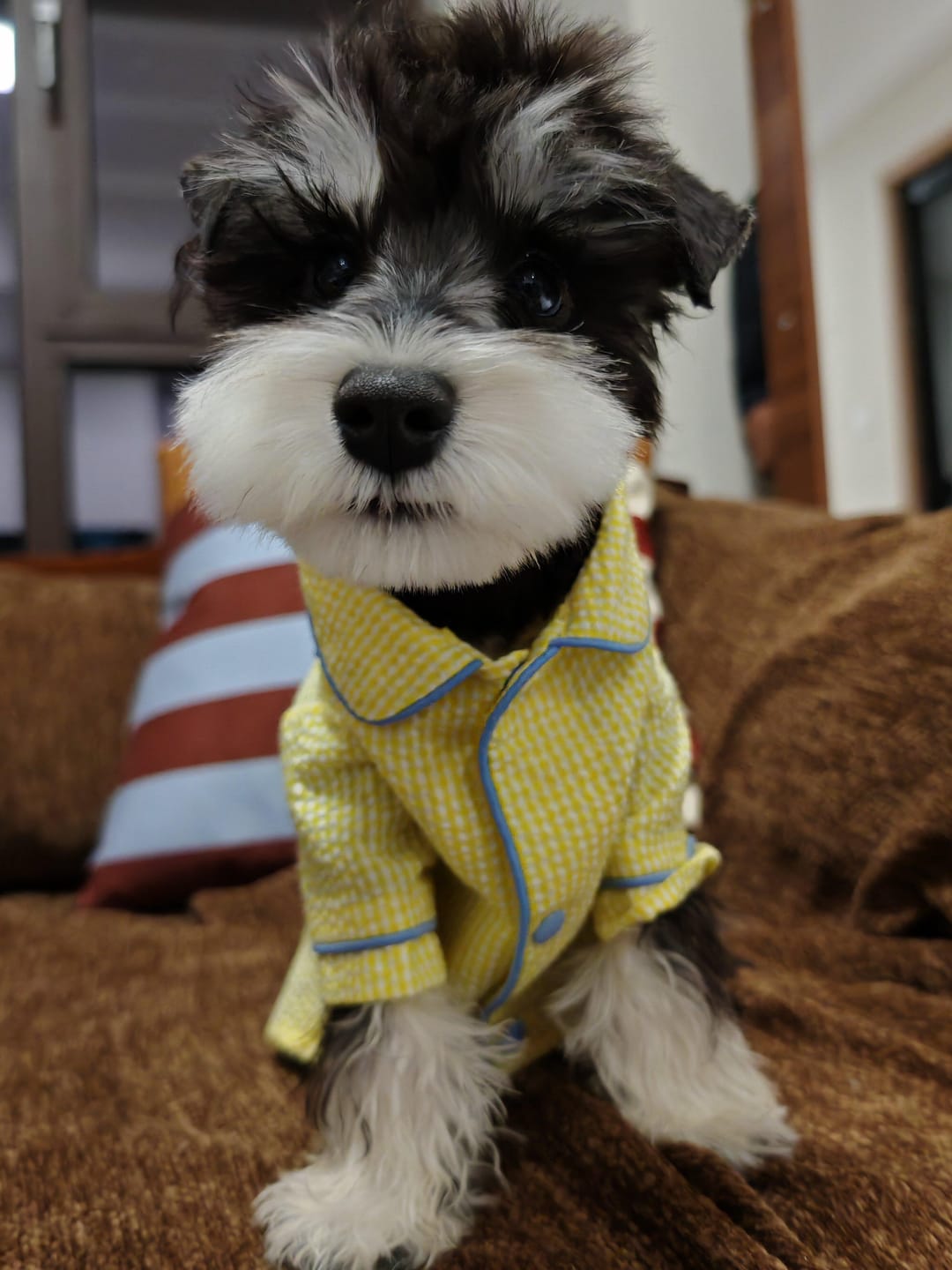 Customer photo review of Gingham Getaway Shirt