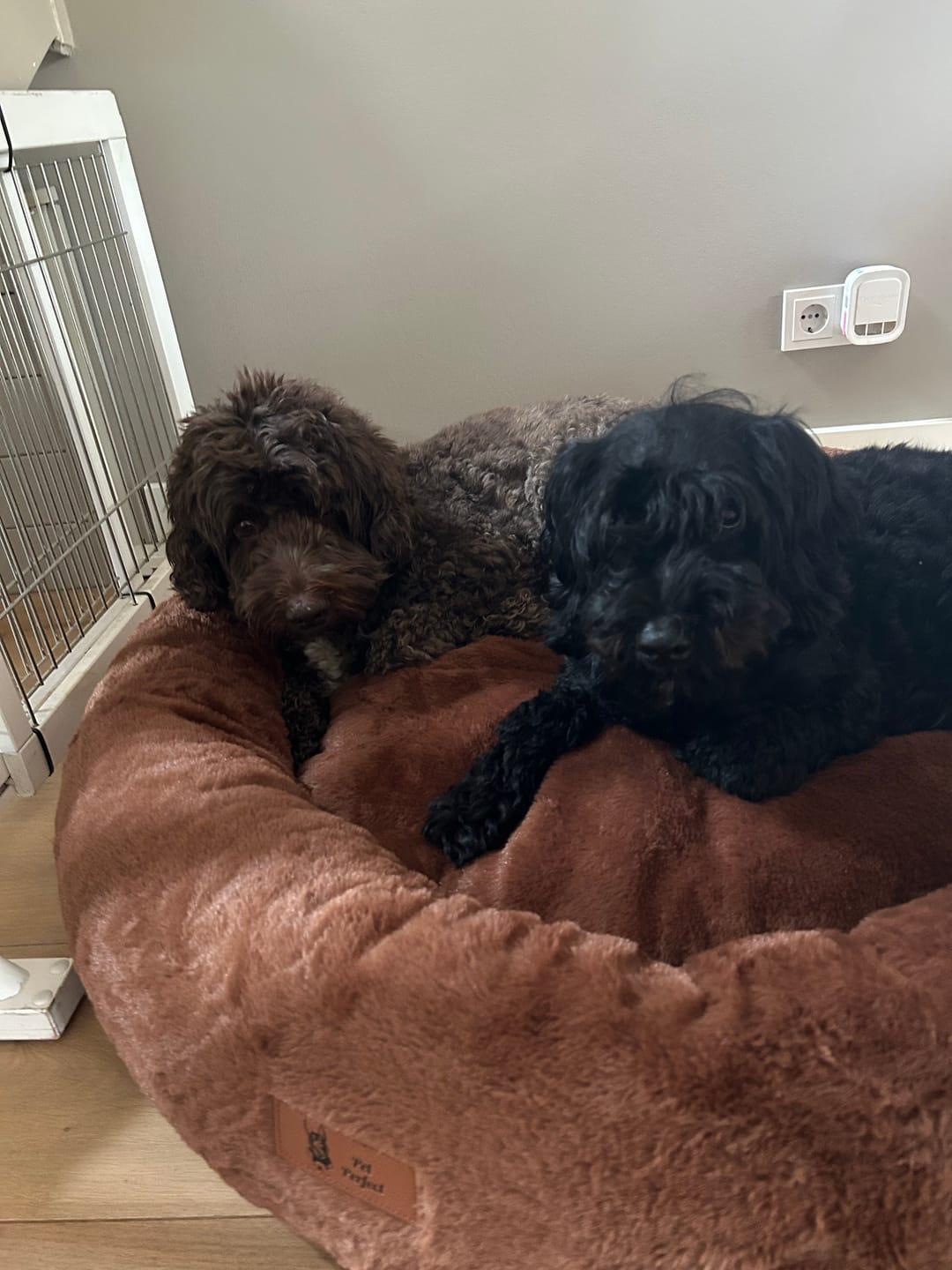Customer photo review of Pet Perfect Hoes (ENKEL HOES) voor Orthopedische Donutmand - ZONDER VULLING