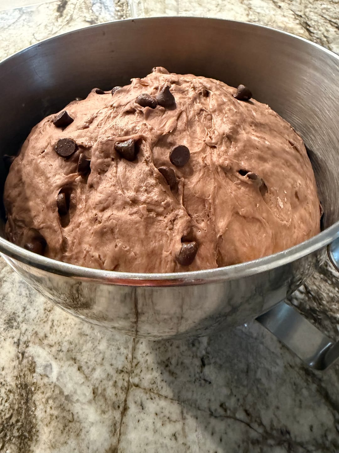 Customer photo review of Live 119 Year Old Valrhona CHOCOLATE Sourdough Starter Includes Maintenance PDF & Chocolate Noir Loaf Recipe