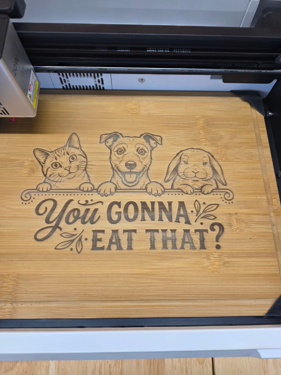 Customer photo review of YoraHome® Toocaa NOVA Smart Laser Engraver Cutter