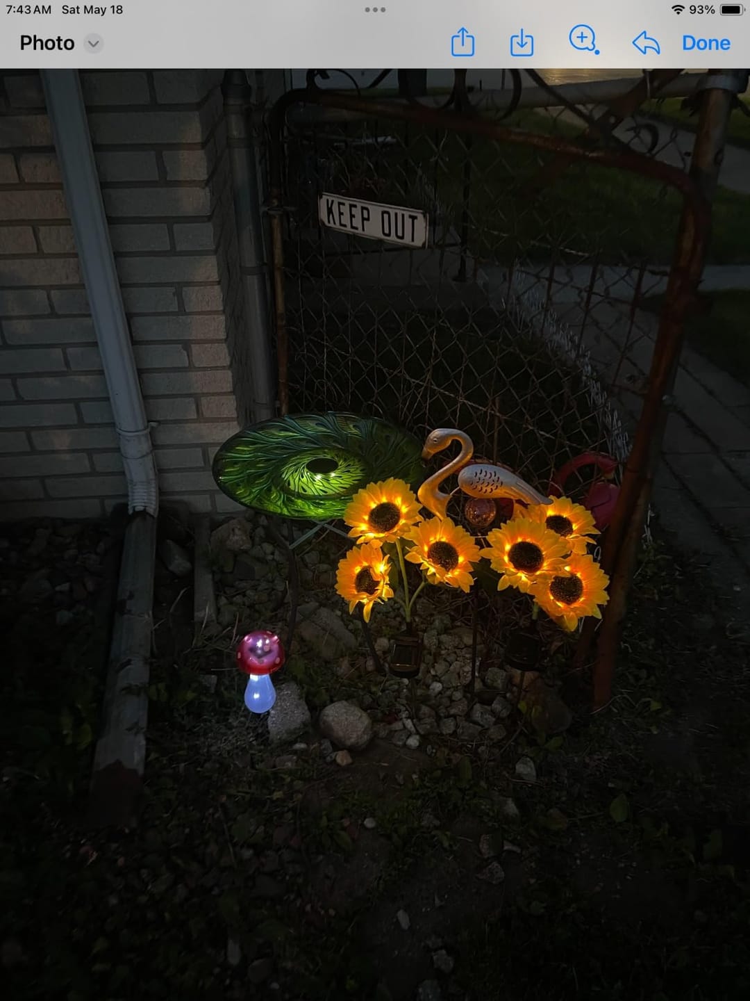 Customer photo review of Litlamp® Solar Sunflower LED Lights