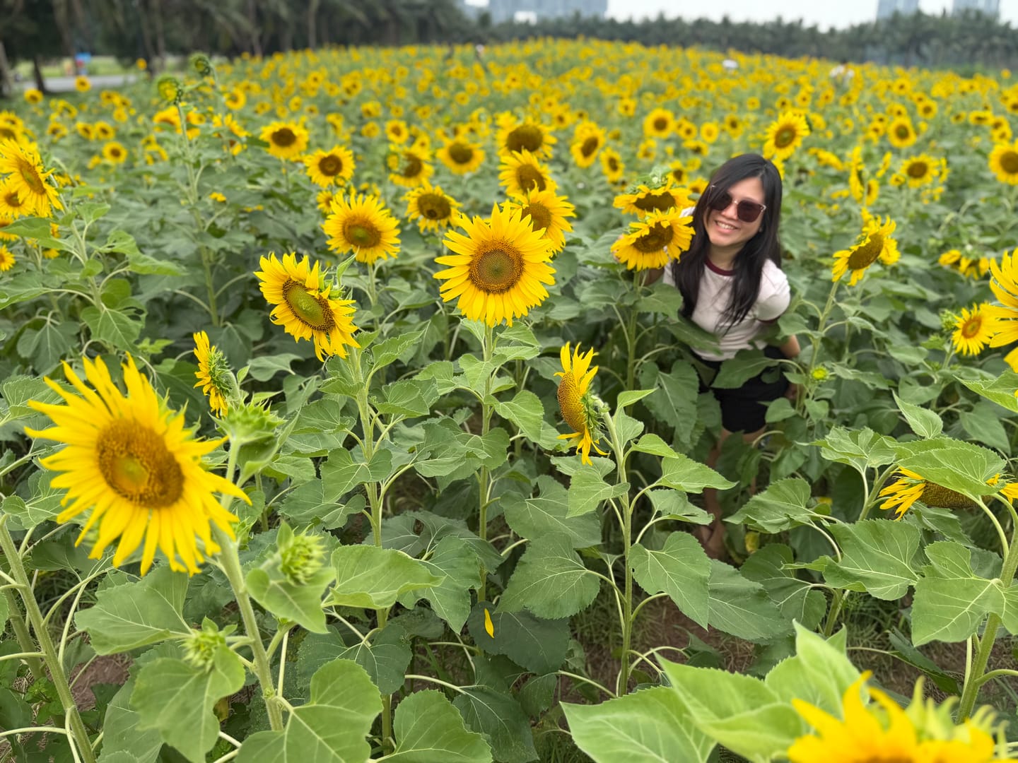 Customer photo review of Jei Square Framed Sunglasses