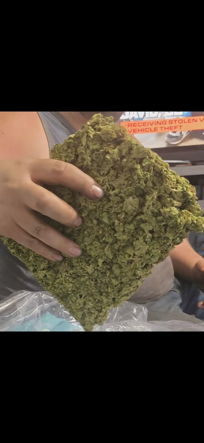 Customer photo review of Maui Wowie Minis - Bulk Minis - Sativa