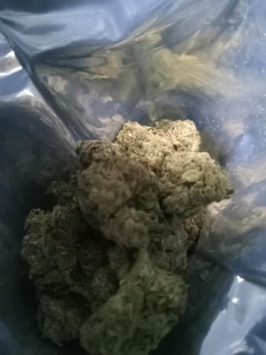 Chocolate Diesel - 28 Grams - Hybrid photo review
