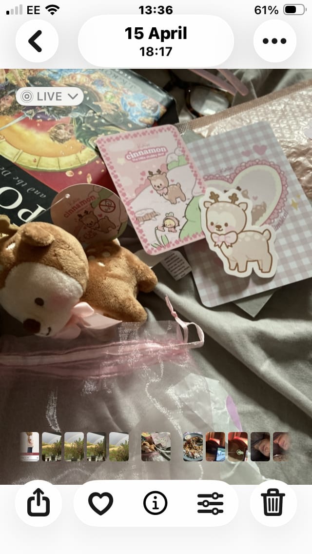Customer photo review of Cinnamon the Deer Plush Keychain | Pink Coquette Kawaii Cottagecore Bag Charm