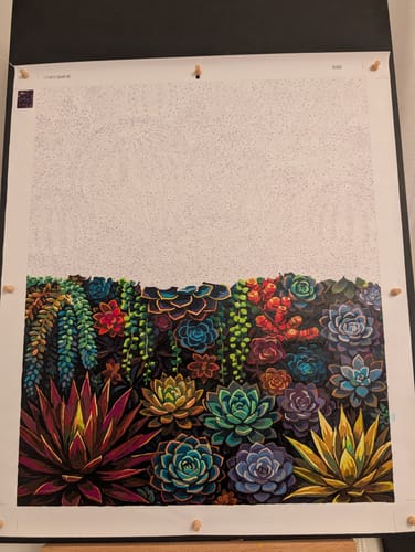 Customer photo review of Desert Succulent Symphony (80 Colors)