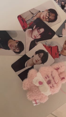 Customer photo review of SKZ STAY in Our Little House Secret Plush Sleeping Ver.