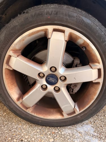 Customer photo review of Descontaminante Ferrico