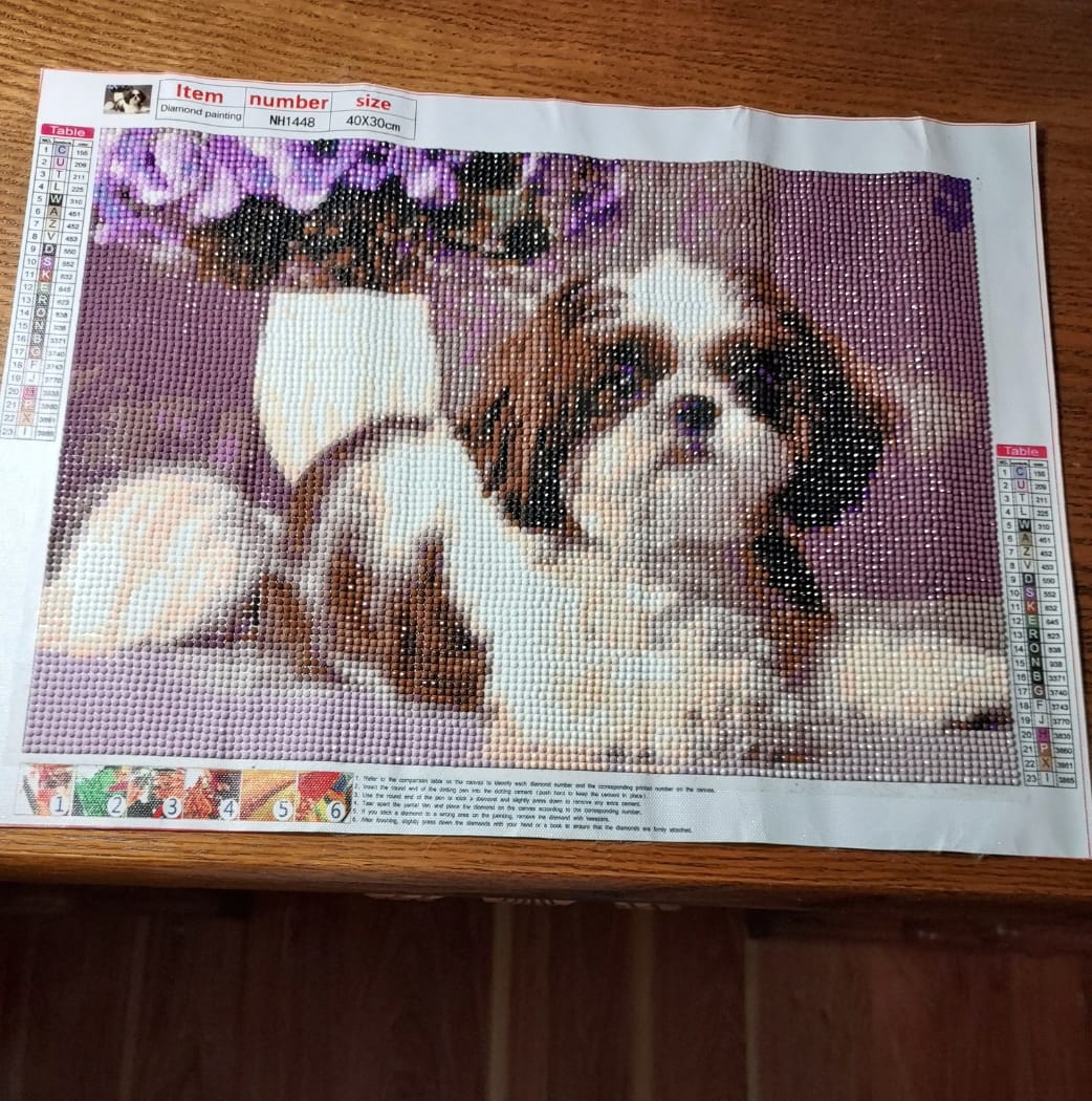 Customer photo review of Custom Diamond Painting