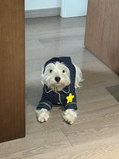 Customer photo review of Hit Snooze, Hooman Pajamas — Midnight Blue