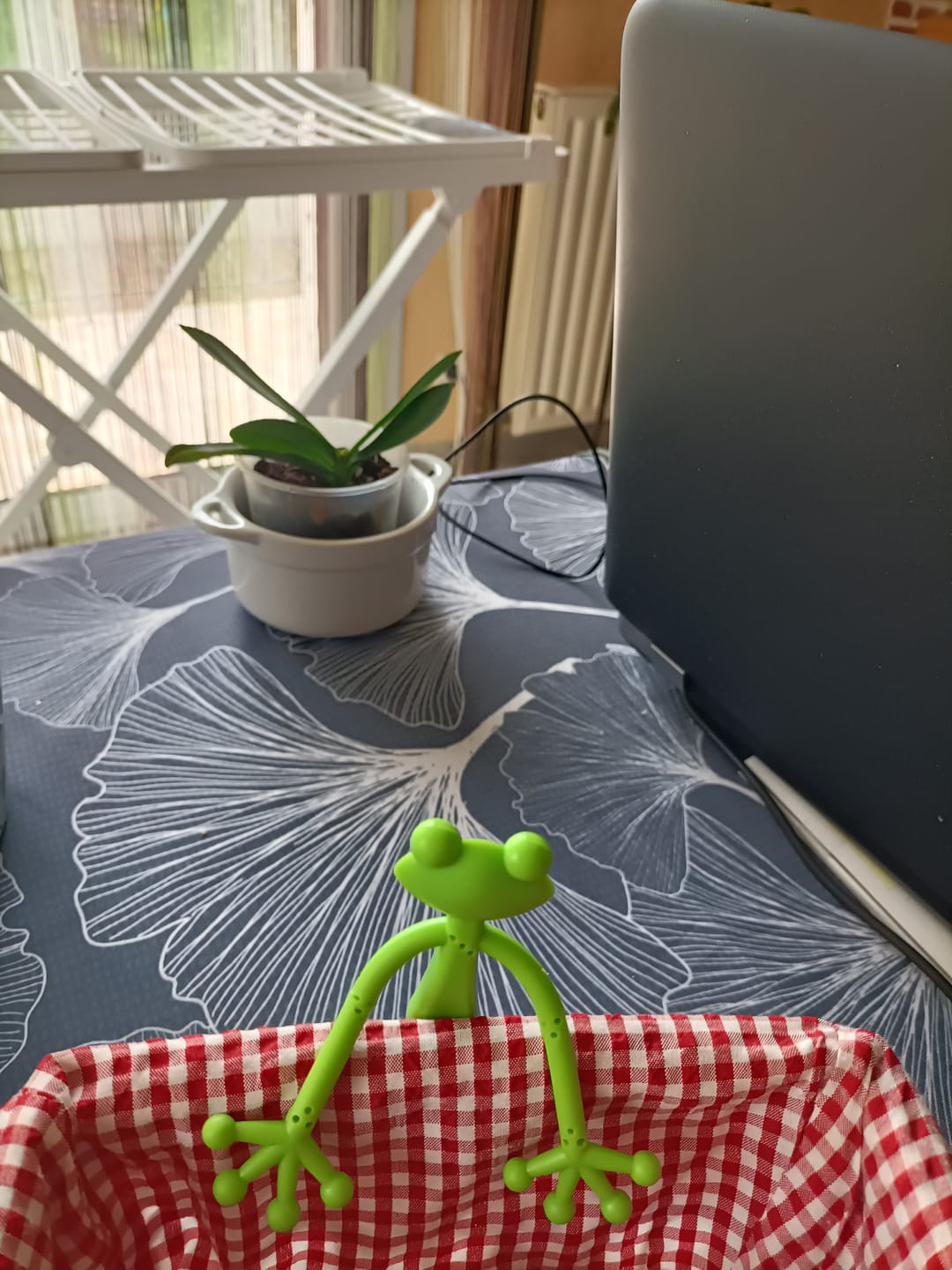 Customer photo review of Mamie Frog®