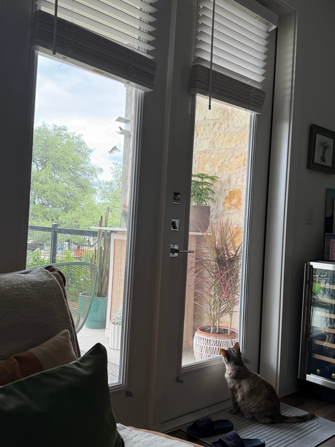 Customer photo review of Aluminum Wall Mounted Bird Feeder