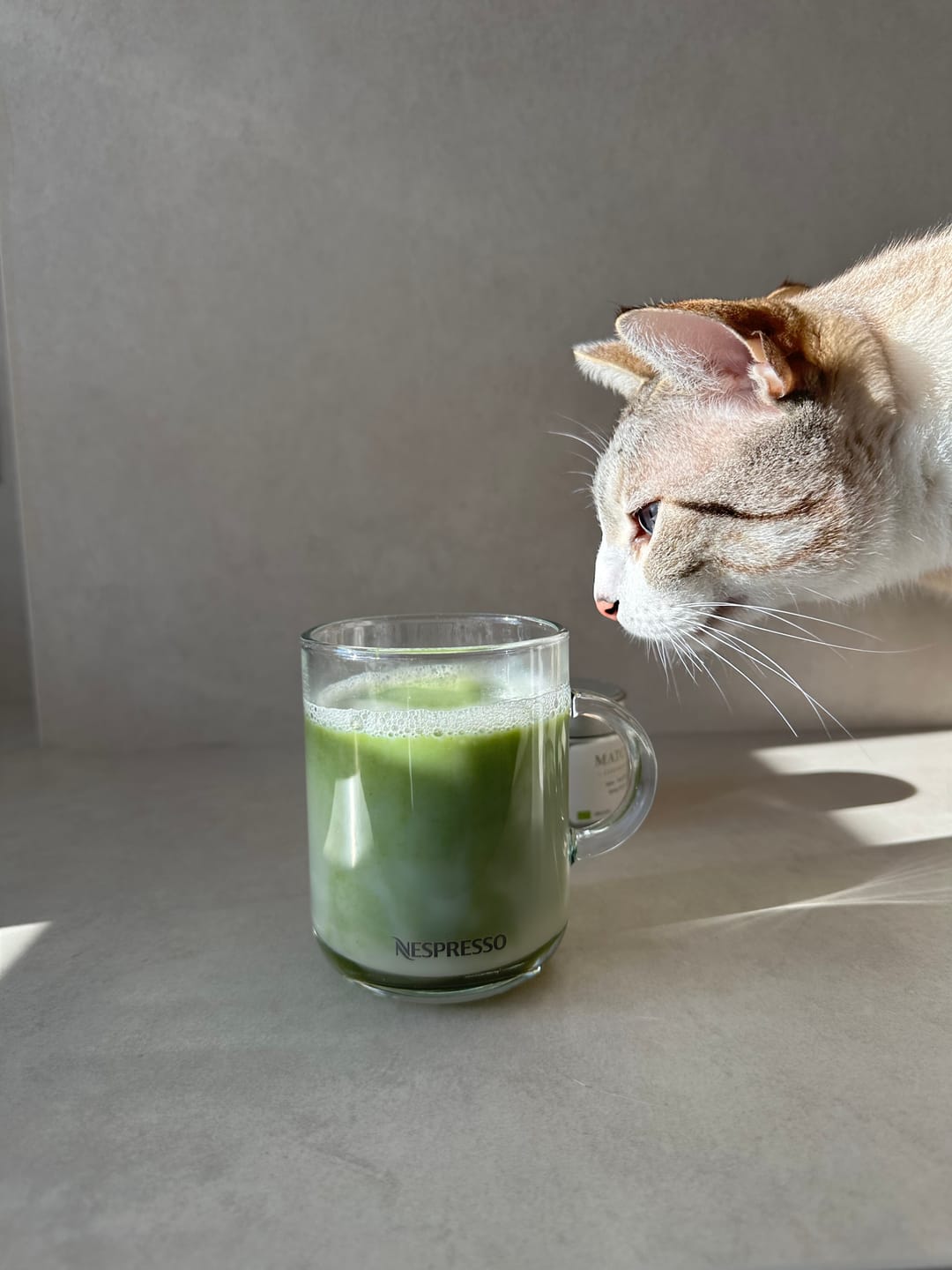 Customer photo review of Té Matcha Premium Arándanos
