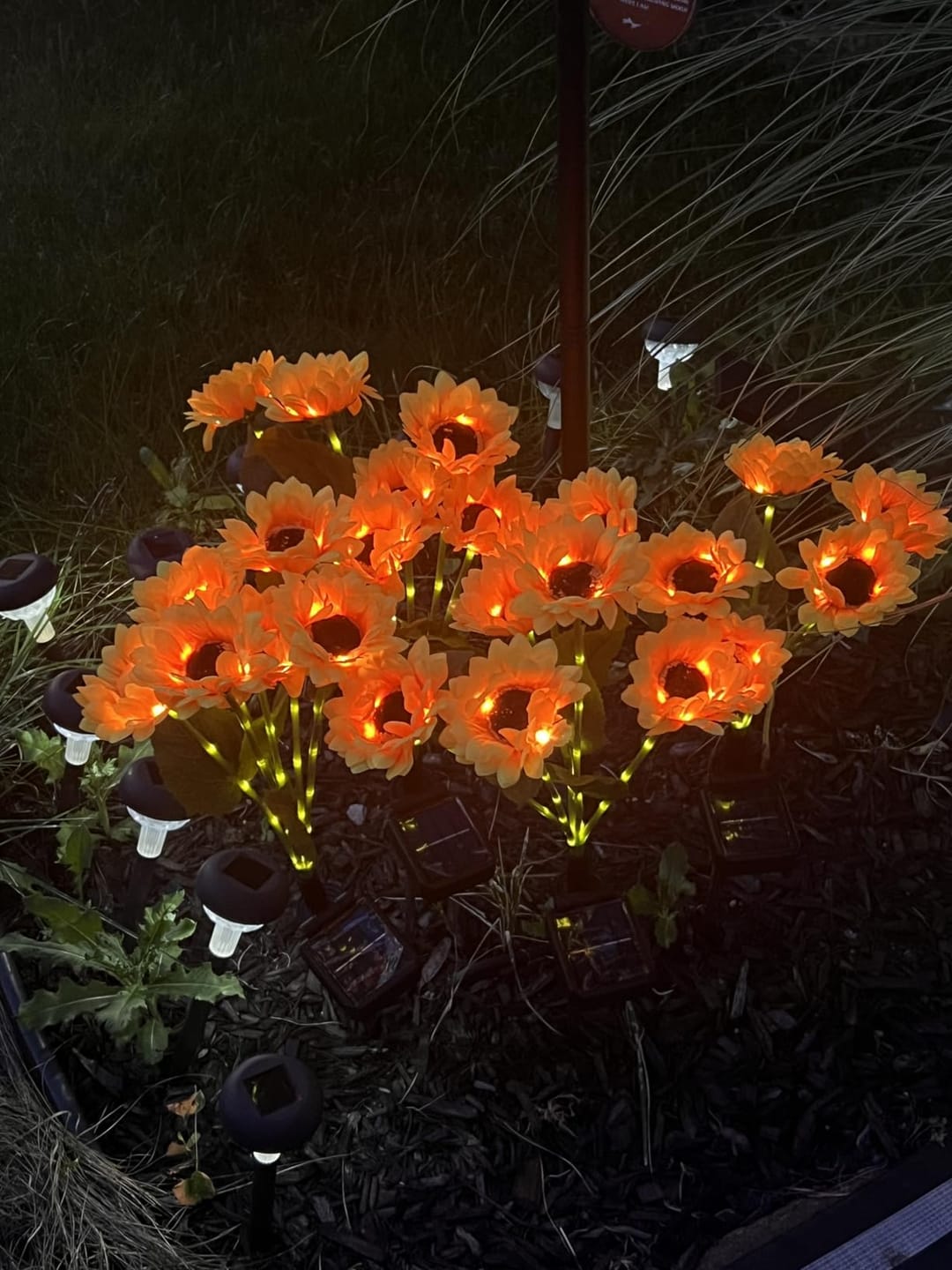 Customer photo review of Litlamp® Solar Sunflower LED Lights