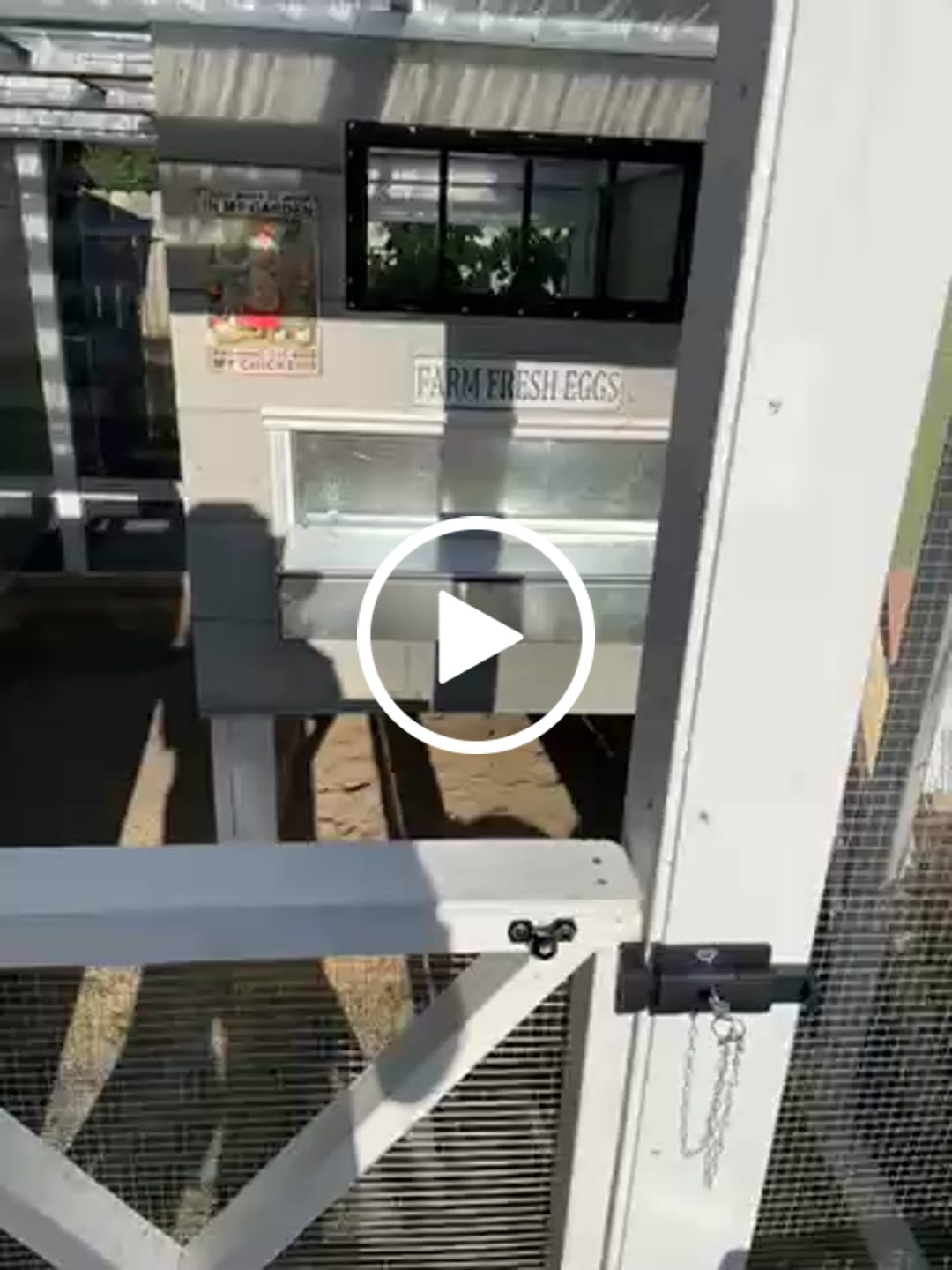 Customer video review of Medium (34") Reversible Roll-out Nest Box (Up to 32 Hens)