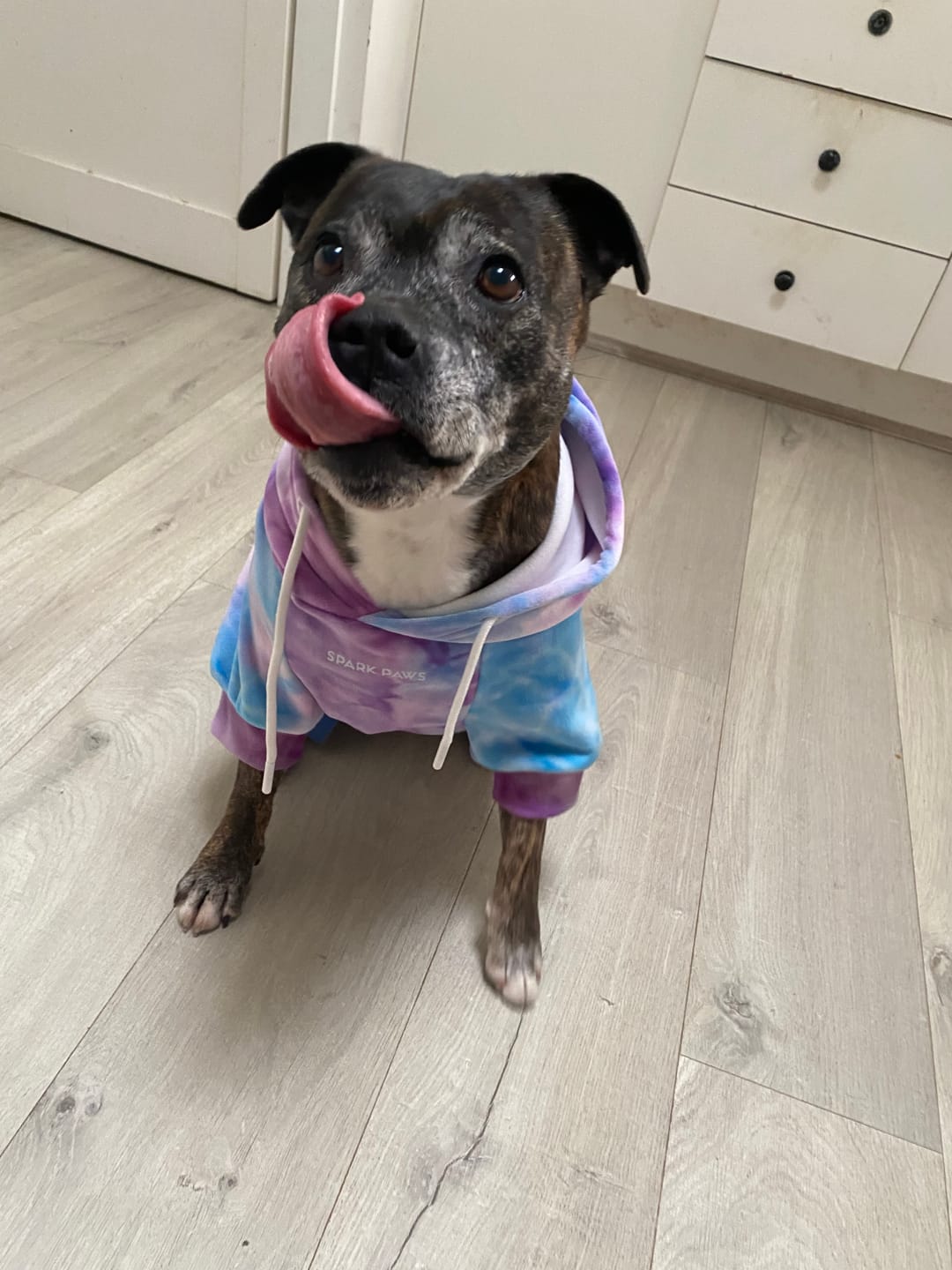 Customer photo review of Velvet Dog Hoodies