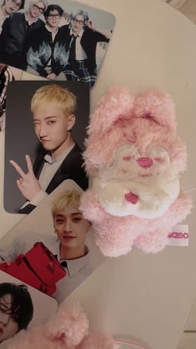 Customer photo review of SKZ STAY in Our Little House Secret Plush Sleeping Ver.