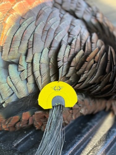 Customer photo review of Split V Diaphragm