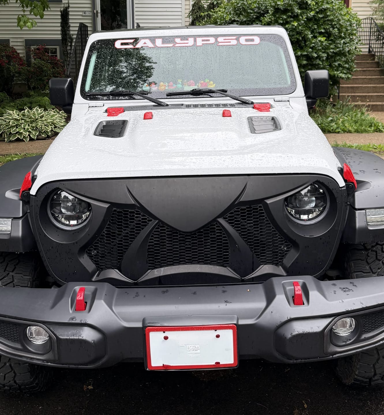 Customer photo review of Windshield Lettering