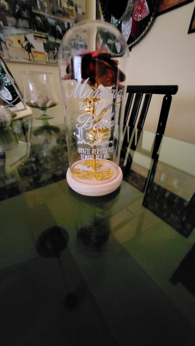 Customer photo review of Prio+