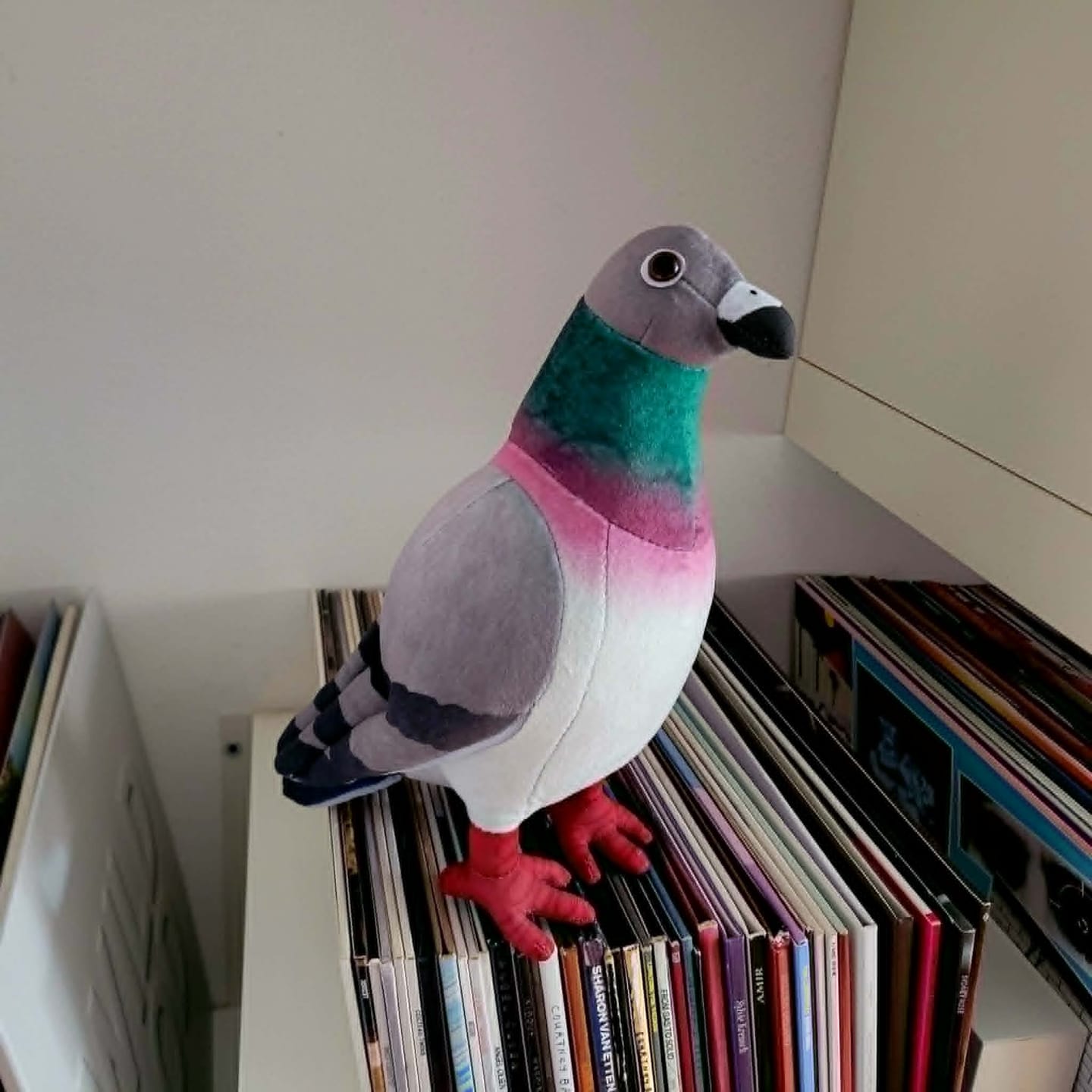 Customer photo review of Common Pigeon Bird Soft Stuffed Plush Toy