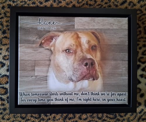 Customer's black-framed Colored Pet Memorial Sign with a photo of a tan dog, Kane, and a memorial verse.