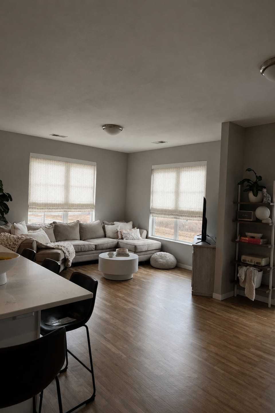 Customer photo review of Willow Custom Roman Shades
