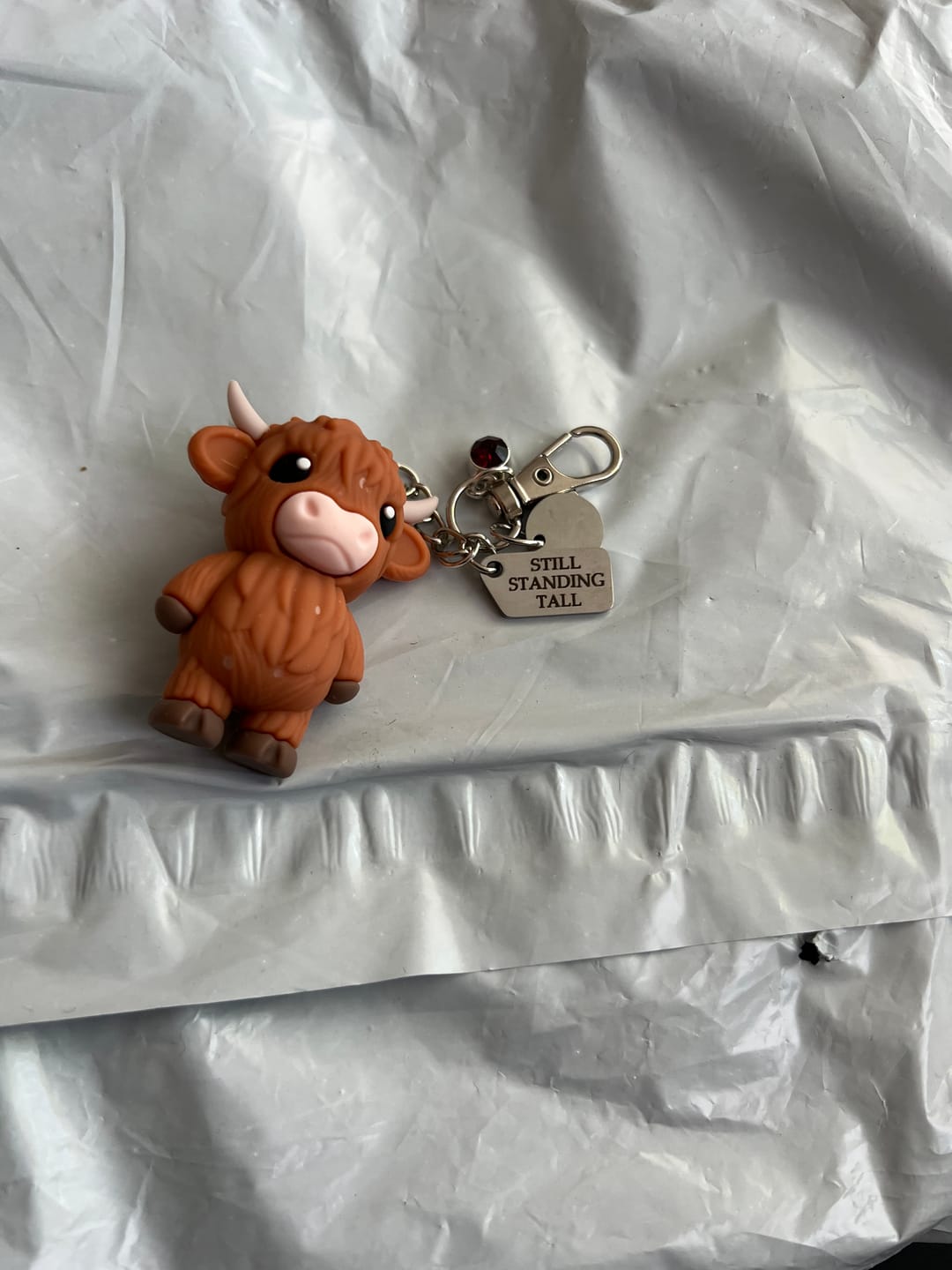 Customer photo review of 🐮A Little Highland Cow For You Keychain: Your Daily Reminder of Quiet Strength