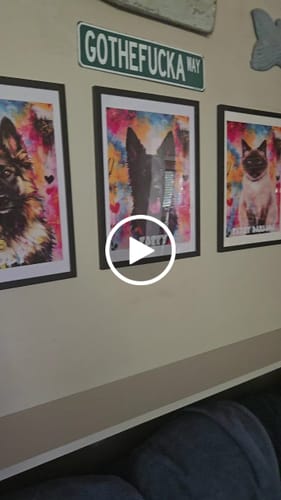 Customer video review of Personalised Poster With Dog or Cat - Graffiti