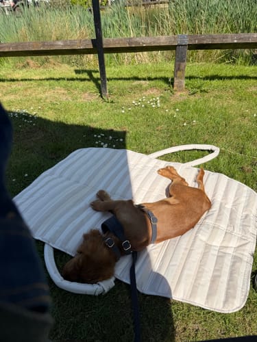 Customer photo review of Summer Breeze Cooling Settle Mat Tote