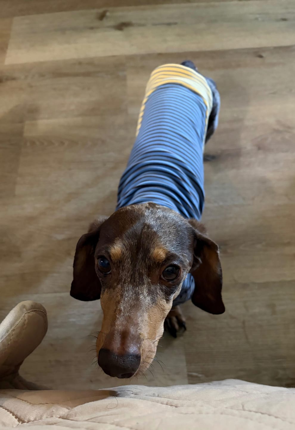 Customer photo review of Blue Hour  Microfleece Shirt